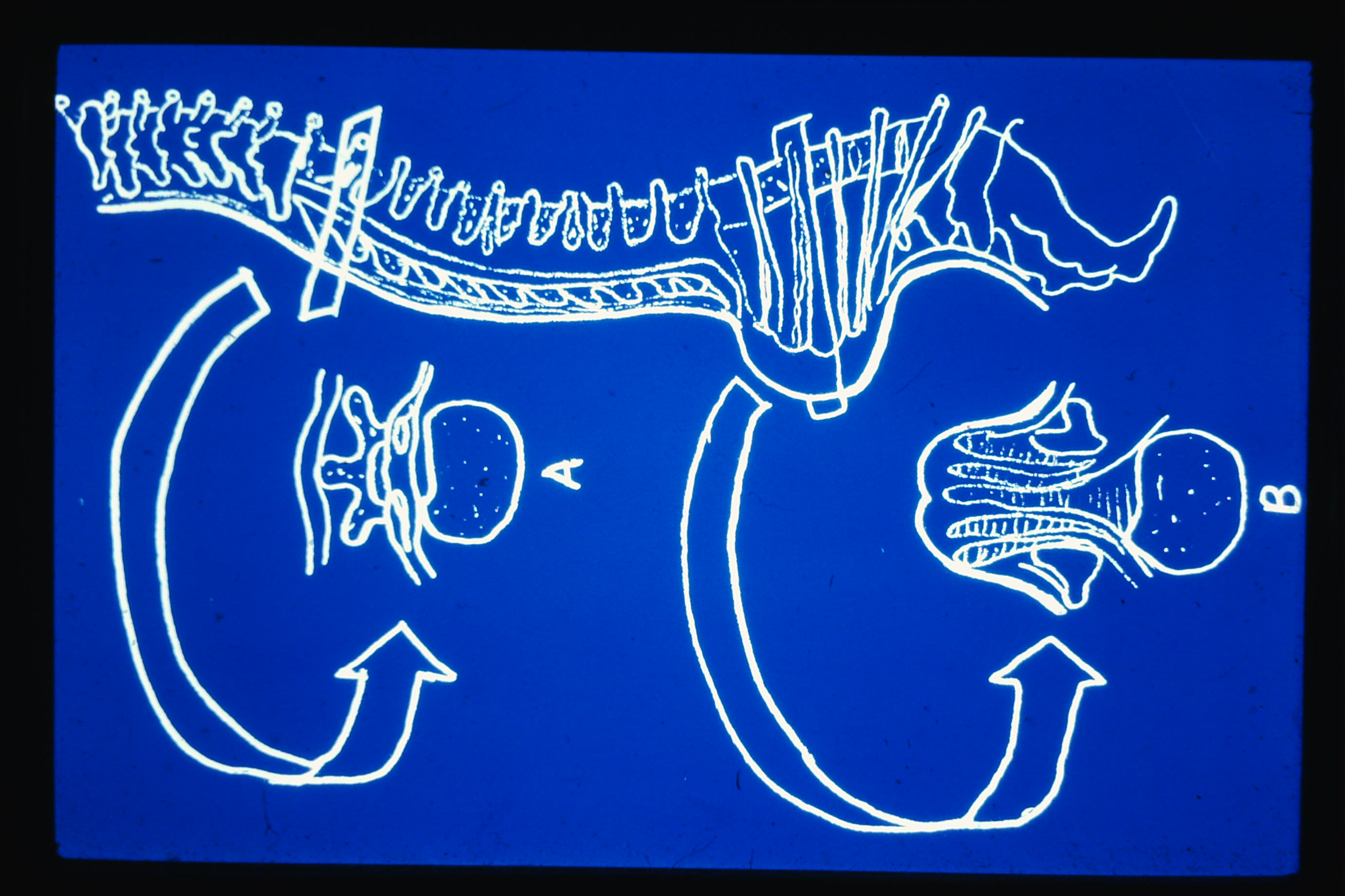 Carousel image one